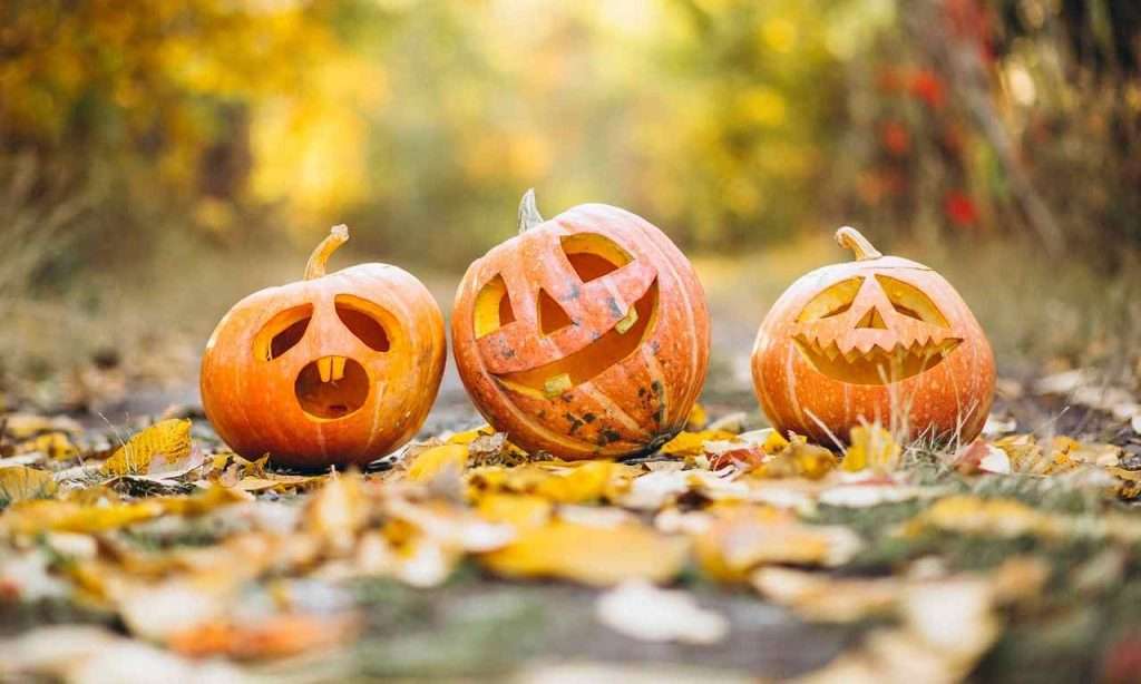 Zucche intagliate per Halloween (Photo Credits: Foto di Mayur Gadge da Pixabay)