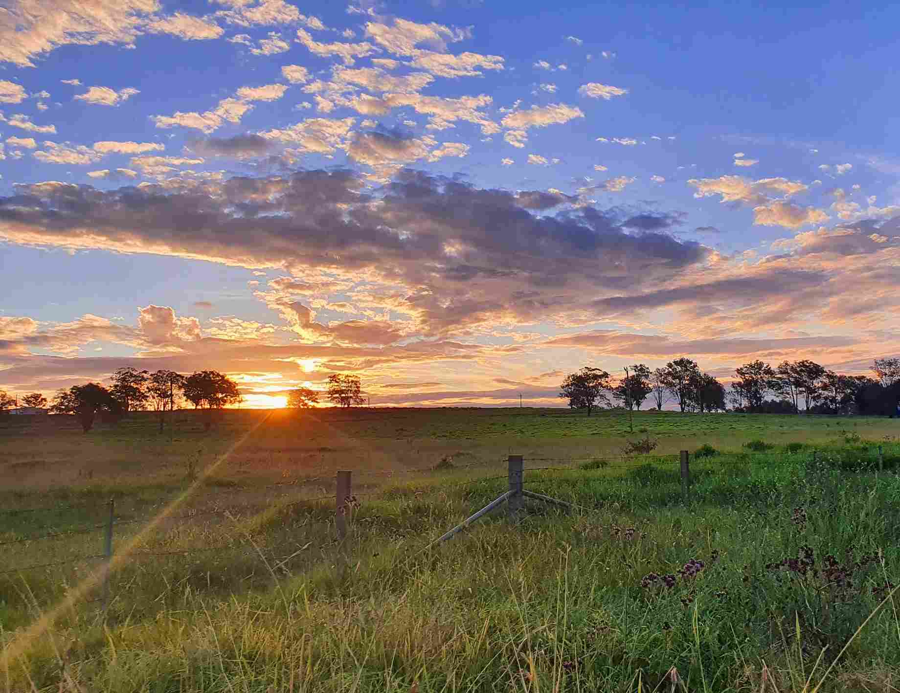 Italiani al 2° posto tra gli stranieri occupati nelle farm australiane