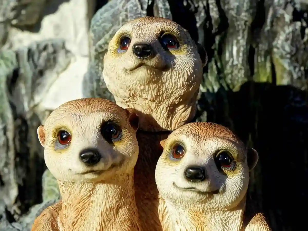 Oggi, la Giornata mondiale degli animali: la storia e le curiosità animali, fonte innaturale.com