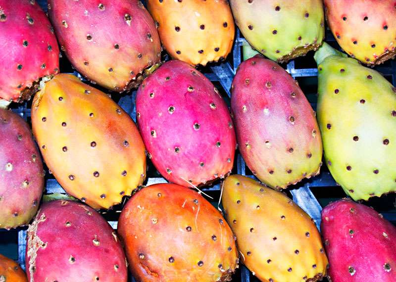 L’olio di semi di fichi d’India potrebbe salvare il pianeta secondo il mondo del beauty?