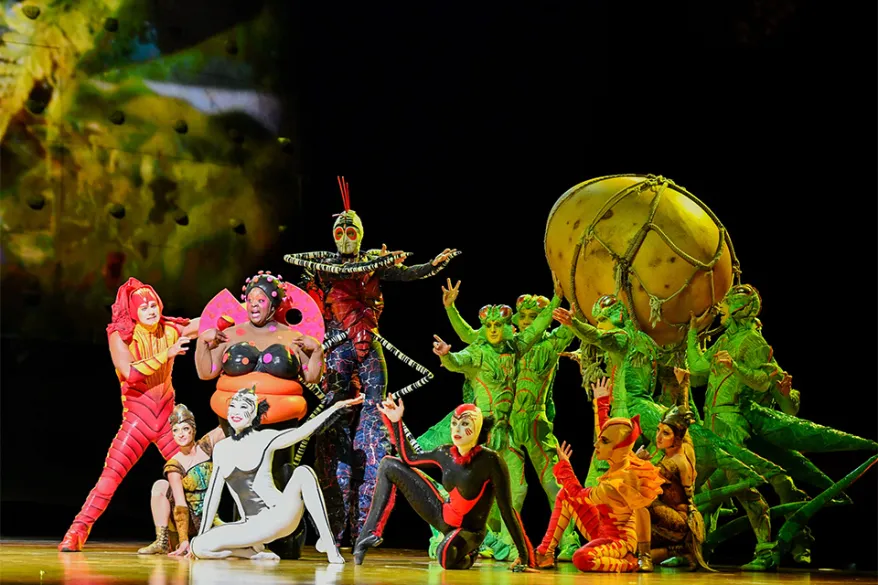 Cirque Du Soleil, Ovo: lo show di Bologna
