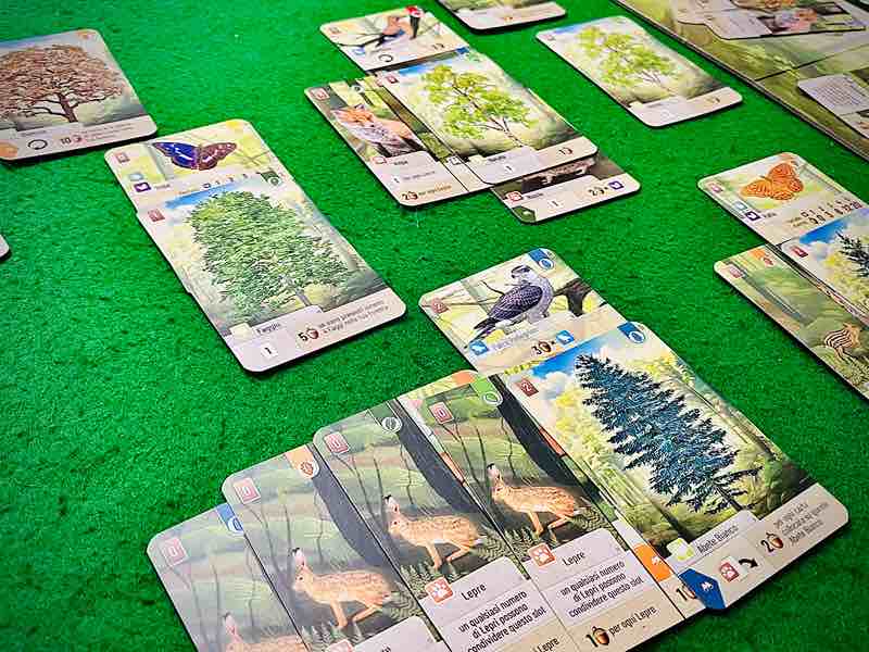 Forest shuffle creazione habitat
