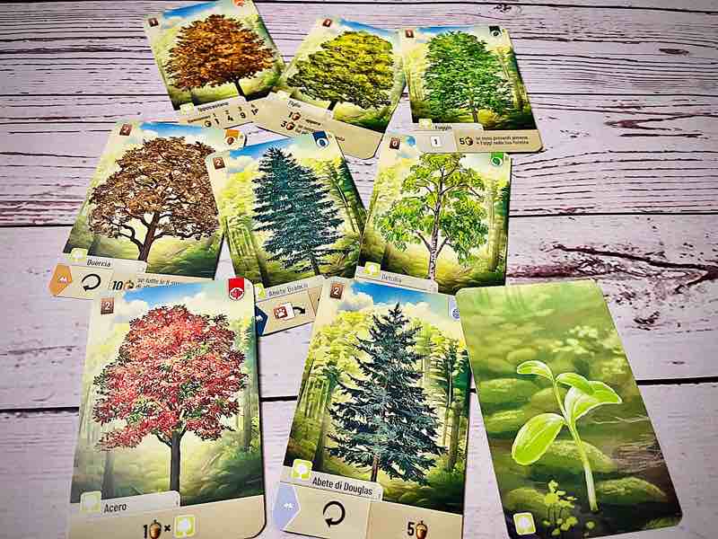 Forest shuffle carte albero