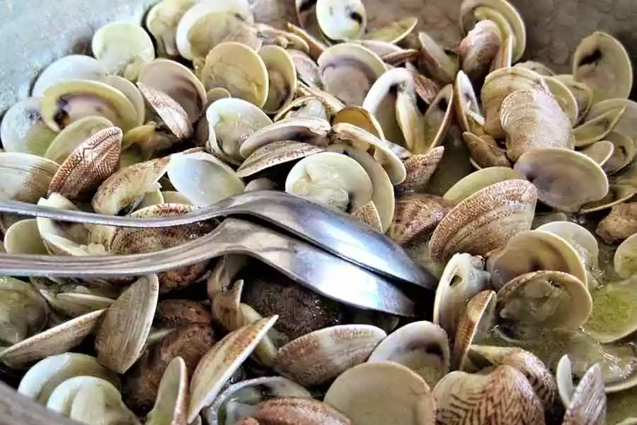 le vongole sono tra i pesci di stagione a dicembre, fonte pesceinrete.com