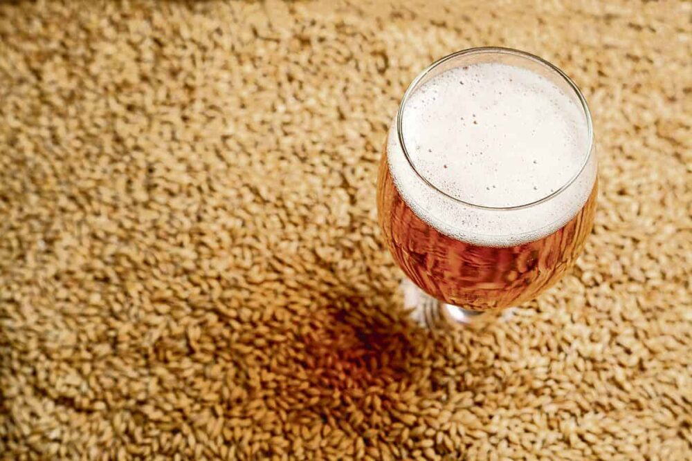 Il malto per la produzione di birra: cos’è quali sono i principali tipi?