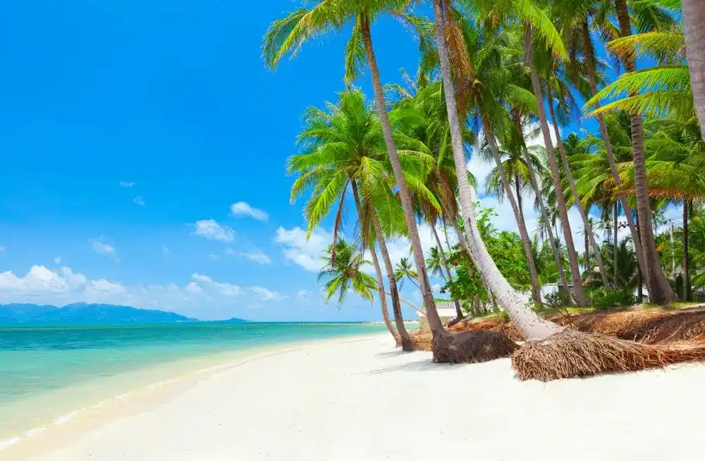 Alla scoperta del Sud della Thailandia: cosa vedere e fare a Phuket, Krabi e Phang Nga in 7 giorni