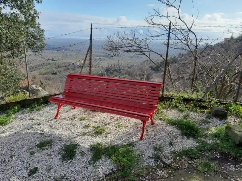 femminicidio lazio © tuscia times