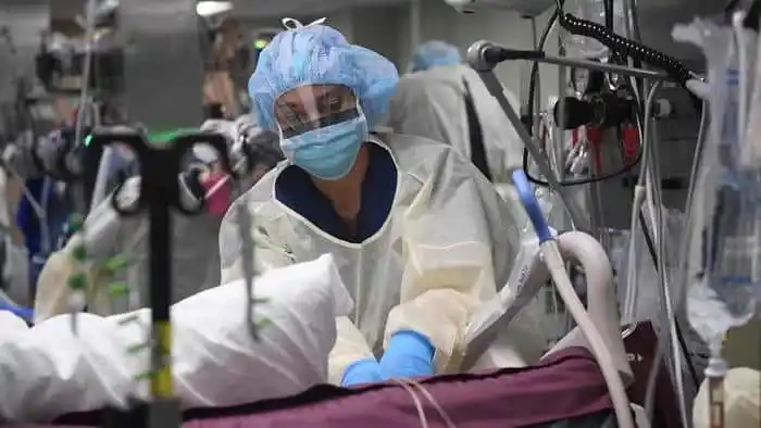 Peste bubbonica in Oregon, l’esperto: “In Europa non c’è più, niente panico”