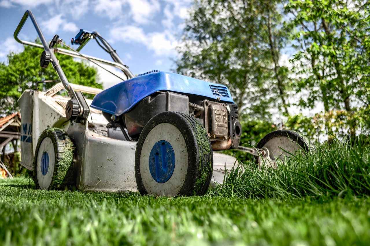 Il settore del giardinaggio in Italia tra trend recenti e prospettive future
