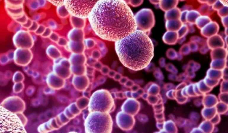 In Giappone è allarme per le infezioni da streptococco