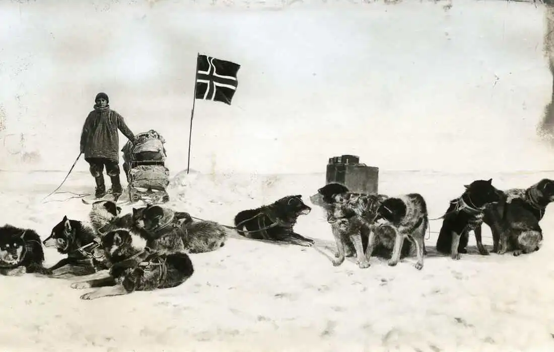 Polo Sud, 112 anni fa l’annuncio della grande scoperta di Amundsen polo sud, fonte culturificio.org