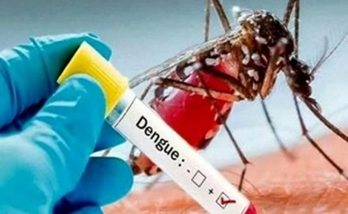 dengue