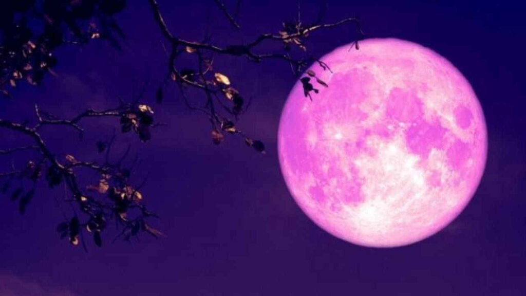 Luna Piena fragole giugno 2024
