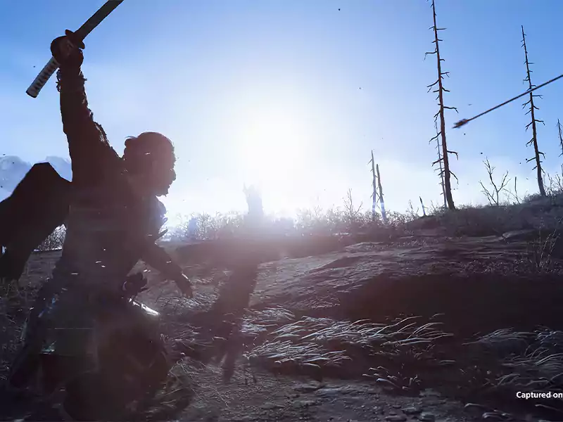 Ghost of Tsushima Director's Cut