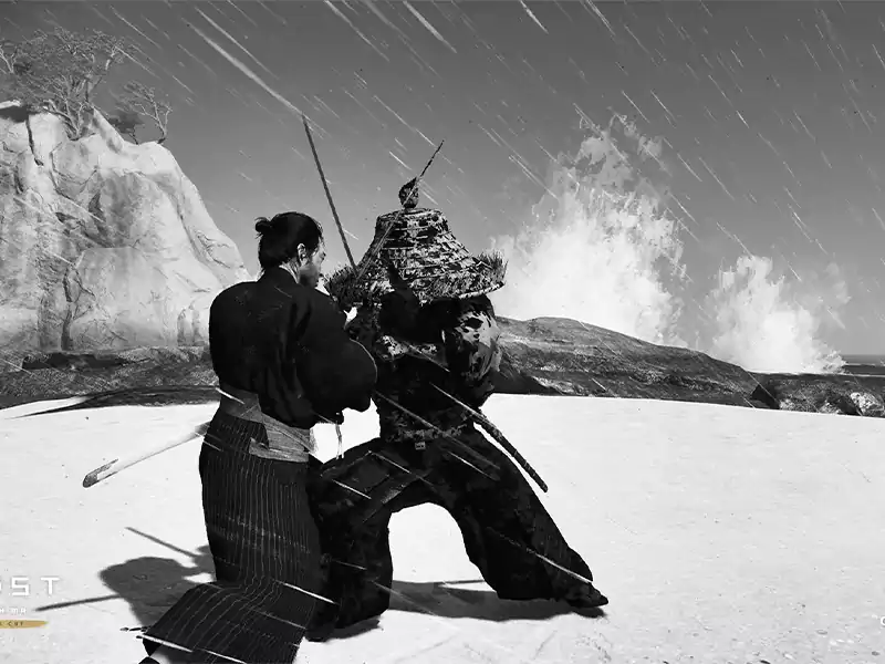 Ghost of Tsushima Director's Cut
