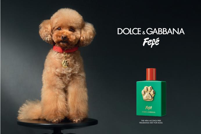 Dolce&Gabbana debutta nel pet beauty e lancia la fragranza per cani Fefé