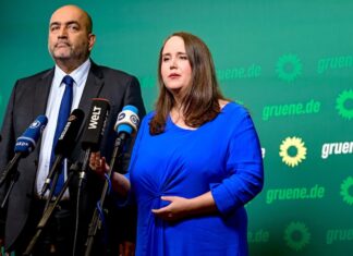 C’è crisi tra i Verdi in Germania: saranno resilienti?