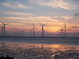 Cosa sta succedendo in Sardegna? La proposta di legge Pratobello 24 e quella strana avversione per le pale eoliche