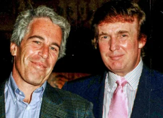 L’ex modella Stacey Williams accusa Donald Trump di molestie: «un gioco perverso» tra lui e Jeffrey Epstein donald trump stacey williams