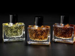 Sacred Animal di J-Scent, analisi e recensione della fragranza sacred animal di jscent