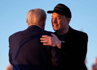 Ecco cosa farà Elon Musk con Trump: nasce “DOGE”, cos’è e che ruola avrà