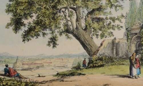 Mostre imperdibili di Novembre: La Quercia del Tasso - Photo Credits museodiromaintrastevere.it