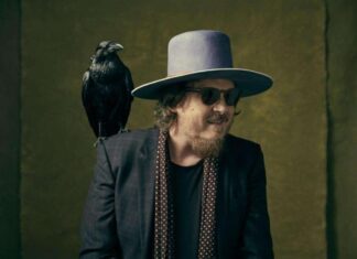 Zucchero, Linkin Park, Negramaro: i principali album in uscita a novembre 2024 Zucchero, Discover II tra i nuovi album in uscita a novembre 2024