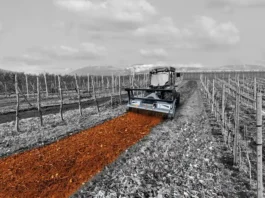 Trince forestali: strumenti per un territorio curato e sicuro