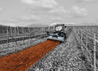 Trince forestali: strumenti per un territorio curato e sicuro