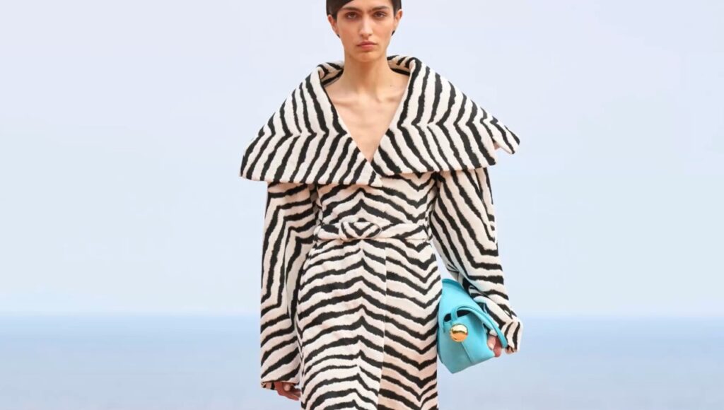 zebra 2025