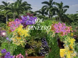 Sol de Janeiro porta il Brasile a Art Basel a Miami Beach: quando il beauty diventa un’esperienza sensoriale e artistica