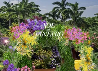 Sol de Janeiro porta il Brasile a Art Basel a Miami Beach: quando il beauty diventa un’esperienza sensoriale e artistica
