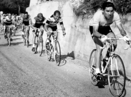 Brutta caduta in bici per Eddy Merckx: il Cannibale dovrà operarsi