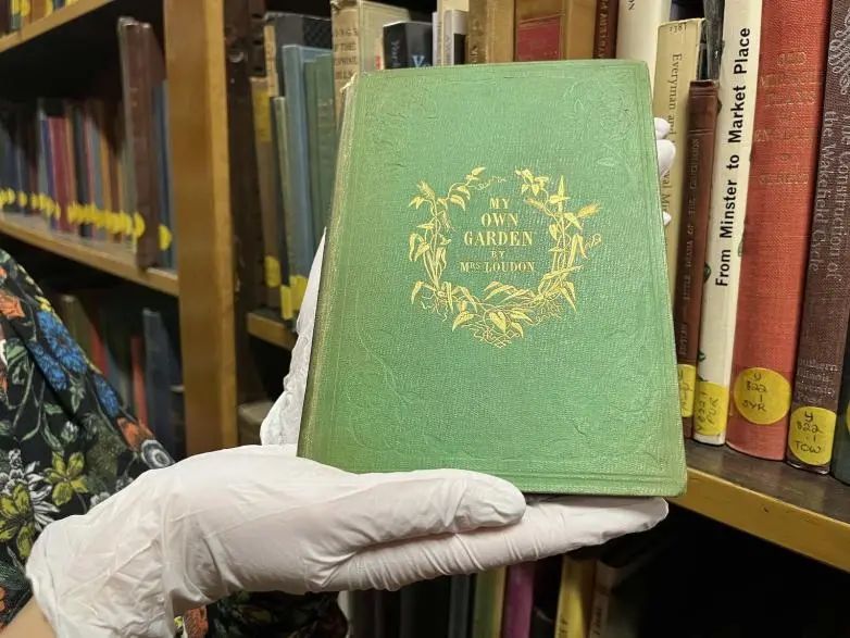 libri arsenico 