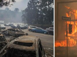 Incendi a Los Angeles: Hollywood in ginocchio, devastato l’iconico Sunset Boulevard, 10 morti e 180 mila sfollati