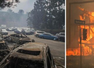 Incendi a Los Angeles: Hollywood in ginocchio, devastato l’iconico Sunset Boulevard, 10 morti e 180 mila sfollati