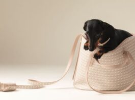 Arriva il pet fashion anche per Coccinelle: presentata la nuova collezione per gli amici pelosi