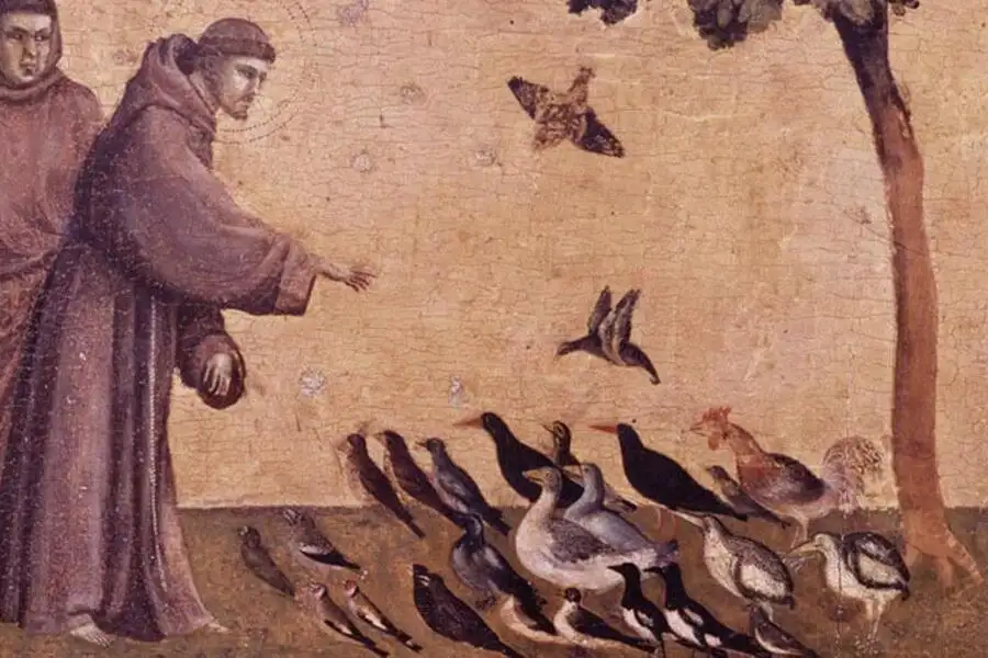 Il Cantico delle creature compie 800 anni, fonte skuola.net