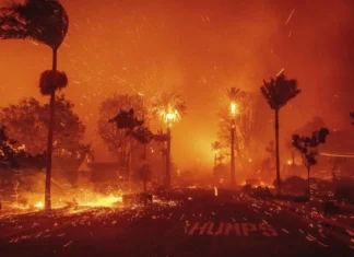 Qual è l’impatto economico degli incendi di Los Angeles sul mondo del fashion?