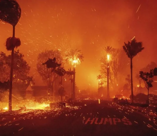 Qual è l’impatto economico degli incendi di Los Angeles sul mondo del fashion?
