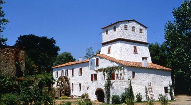 mulino bianco