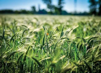 L’esperienza di Agroteam al servizio di una clientela sempre più esigente