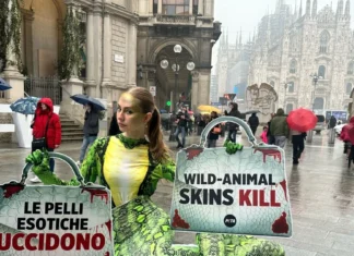 Peta protesta con un gigantesco serpente alla Milano Fashion Week contro le pelli di animale