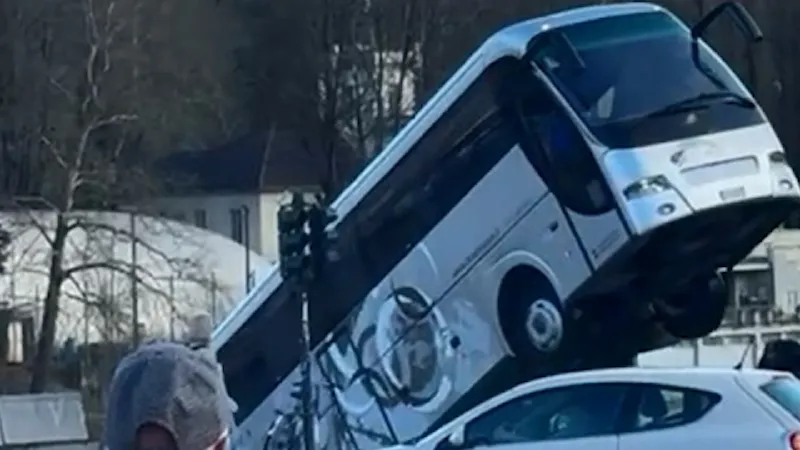 Bus turistico 