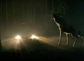Bambi: The Reckoning, il trailer del Bambi horror parte dell’universo di Winnie-the-Pooh – Sangue e miele