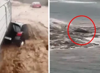 Le isole Gran Canarie colpite da alluvione: diramata l’allerta a turisti e residenti