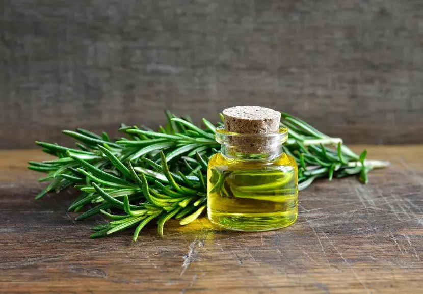 olio di rosmarino