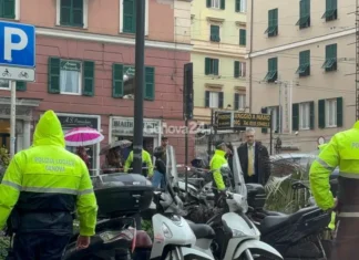 Morta una donna per una palma caduta: succede in Piazza Paolo da Novi a Genova Genova © Genova24.it