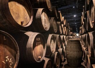 Vino e mercati internazionali: la rivista Winemeridian analizza le nuove opportunità per le cantine italiane