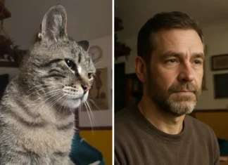 Il nuovo trend virale? Umanizzare i propri animali domestici con l’Intelligenza Artificiale: ecco come fare